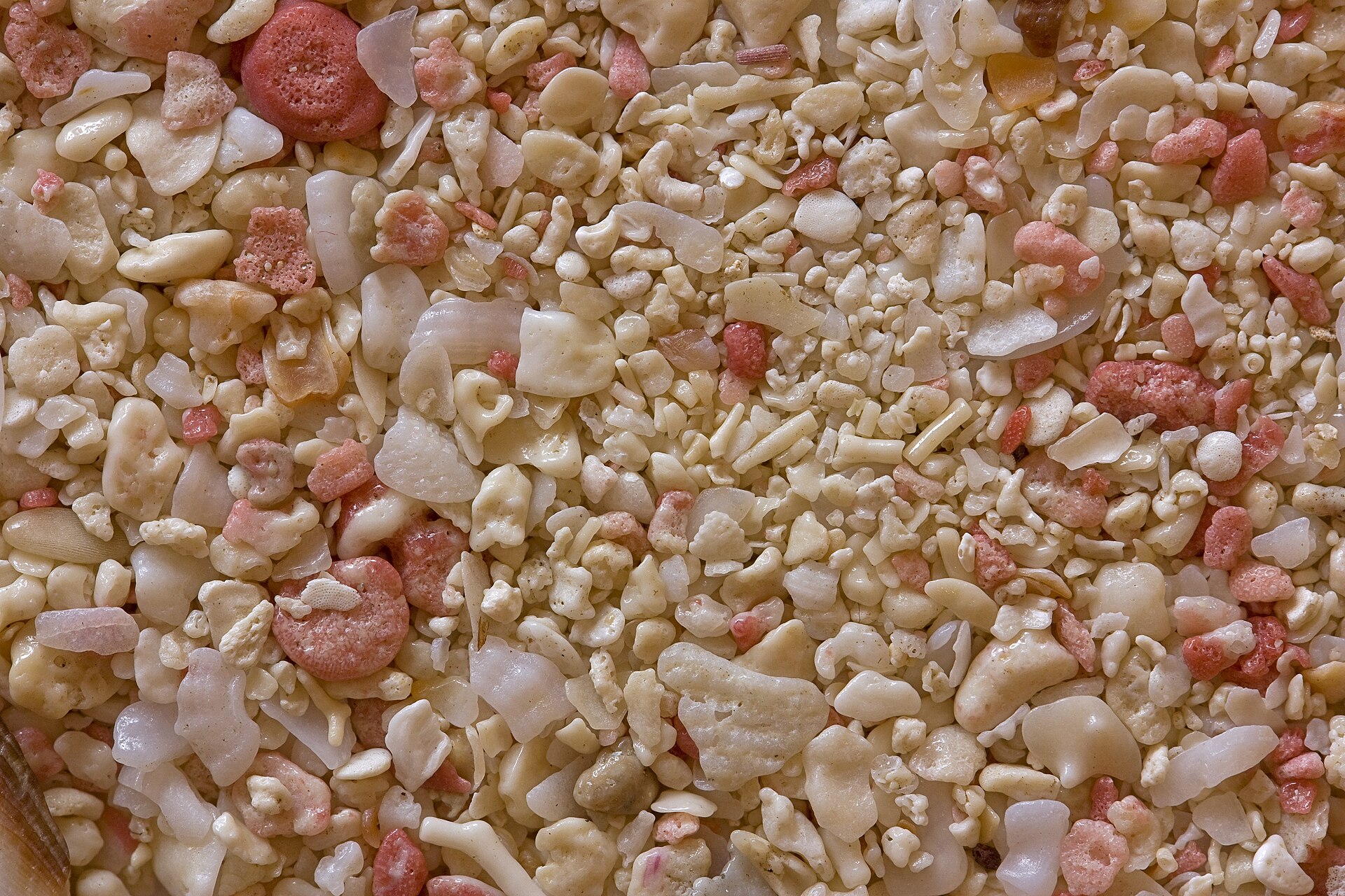 White Reef Sand — 10 kg
