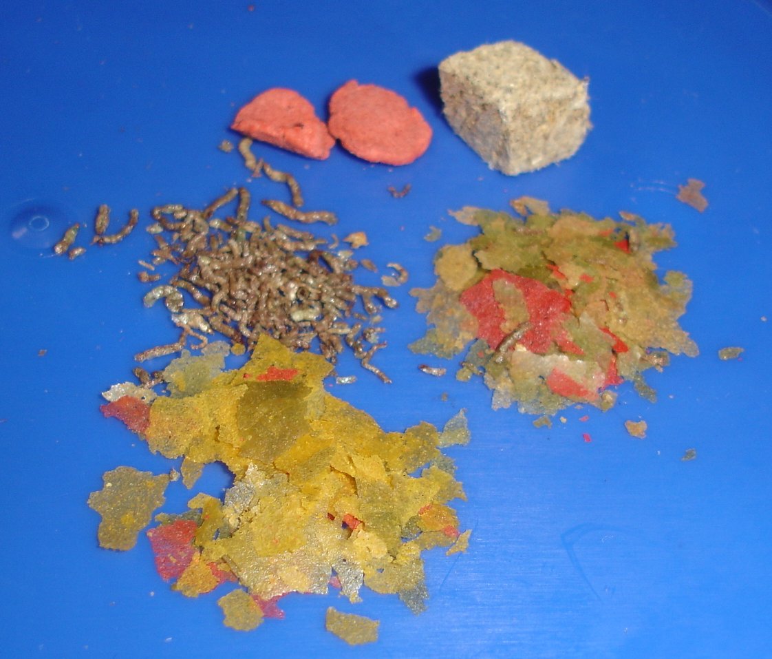 Marine Pellets — 100 g