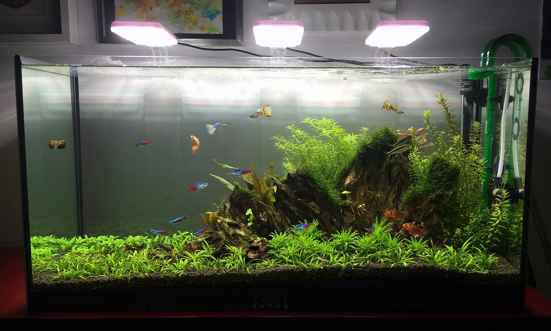 Reef LED 120W