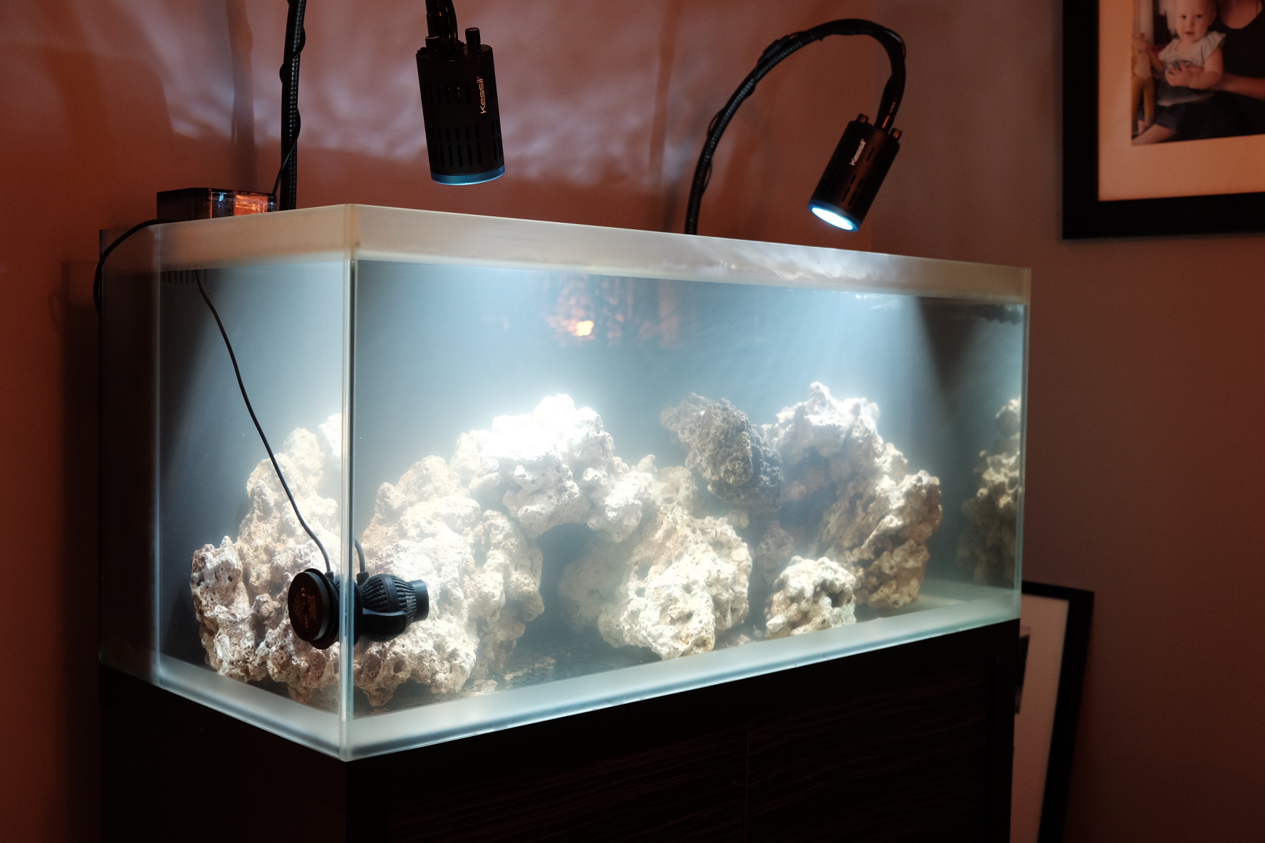 Fish Only With Live Rock (FOWL)